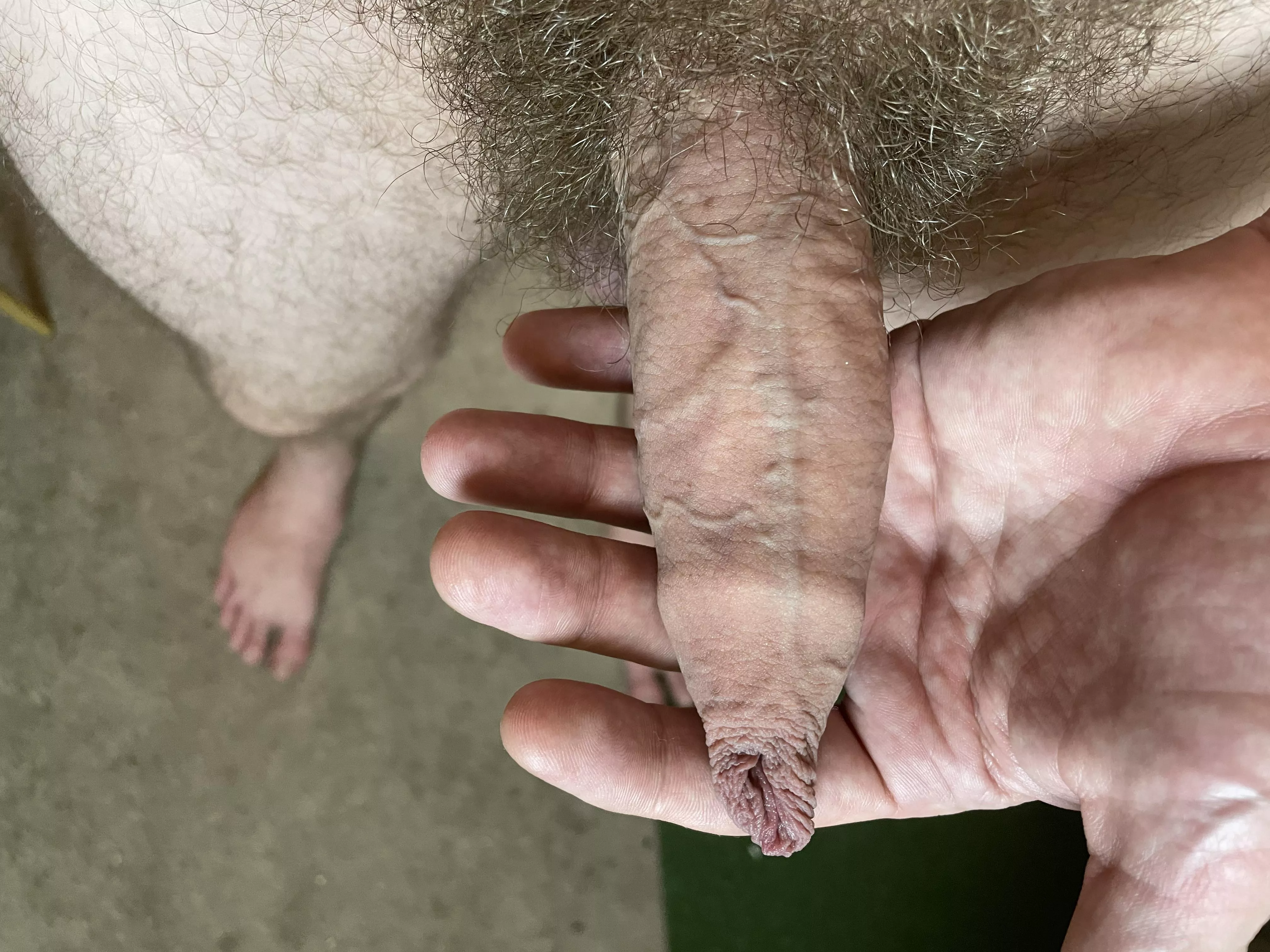 offer you my most precious gift…