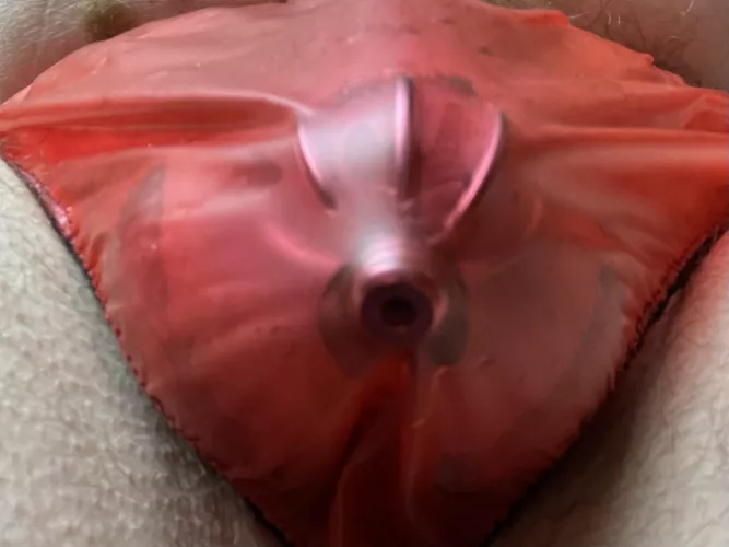 One of my prefered cages w plug