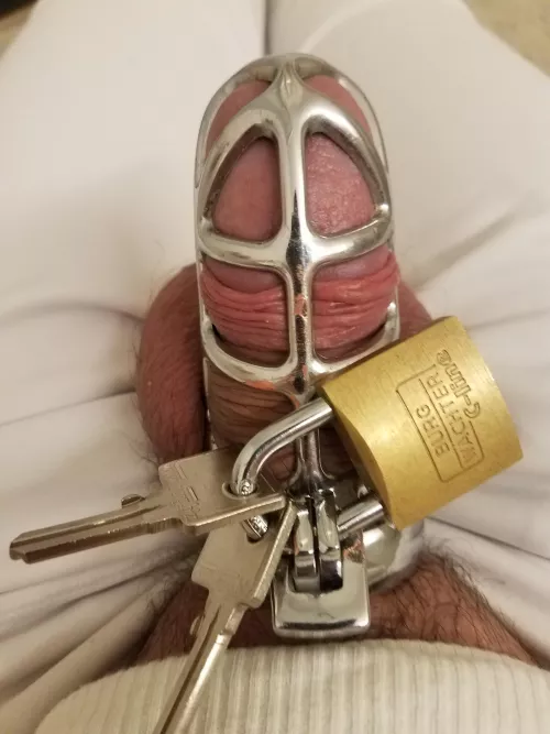 Permanent chastity