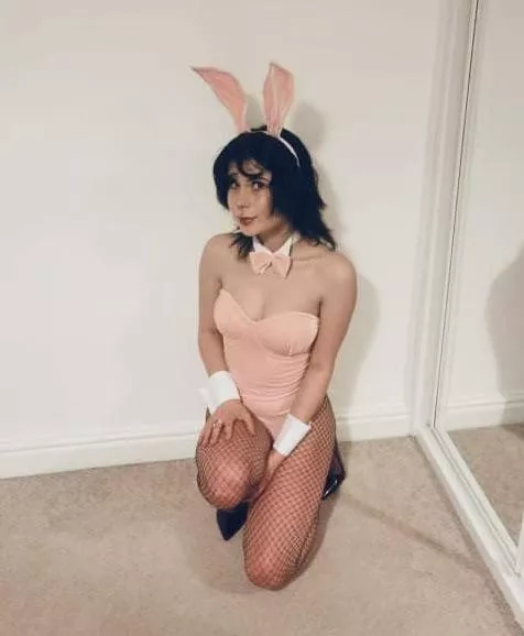 pink fluffy bunny !