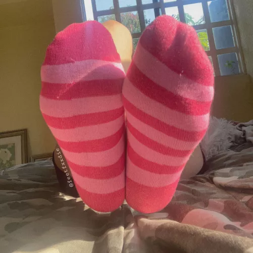 Pink socks ๐ (dms are open)