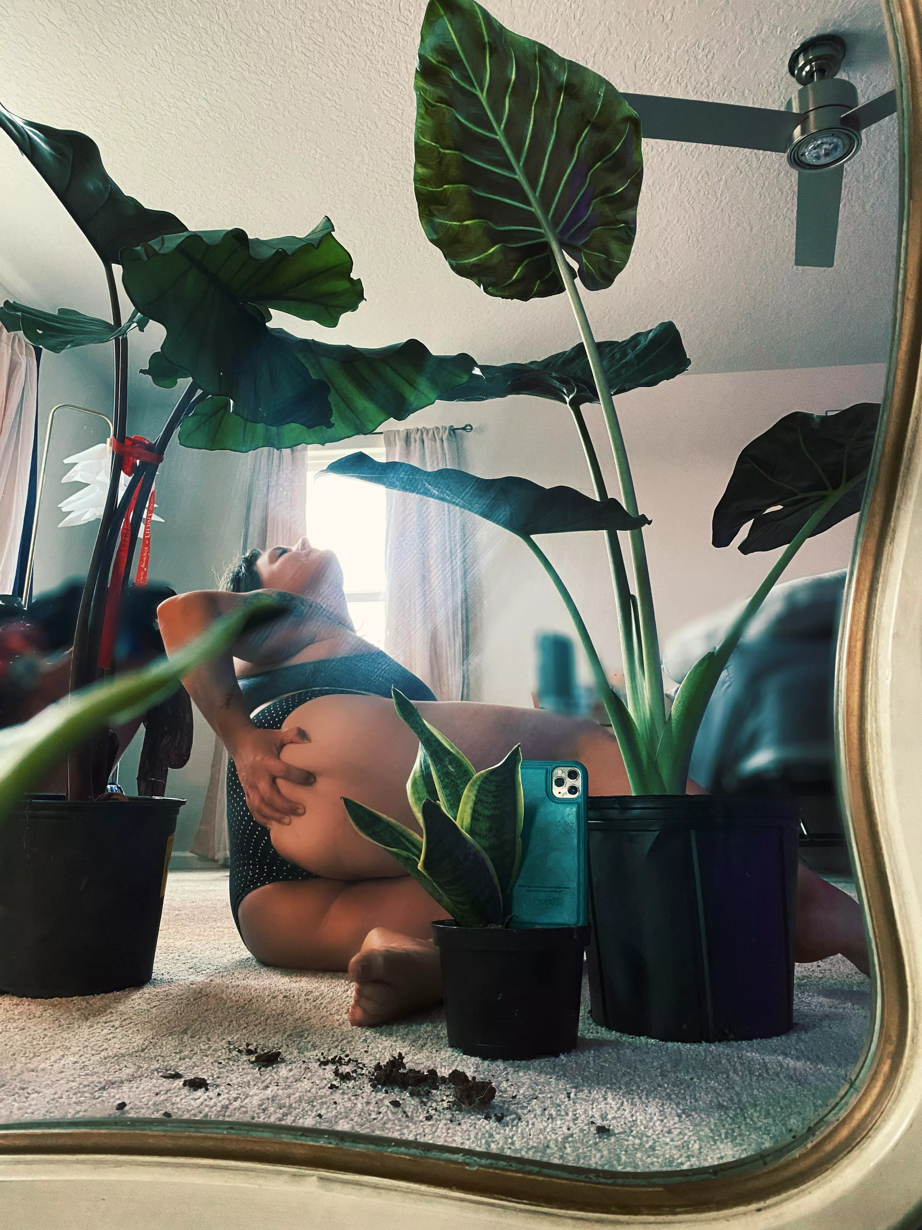 Plant angle is on point