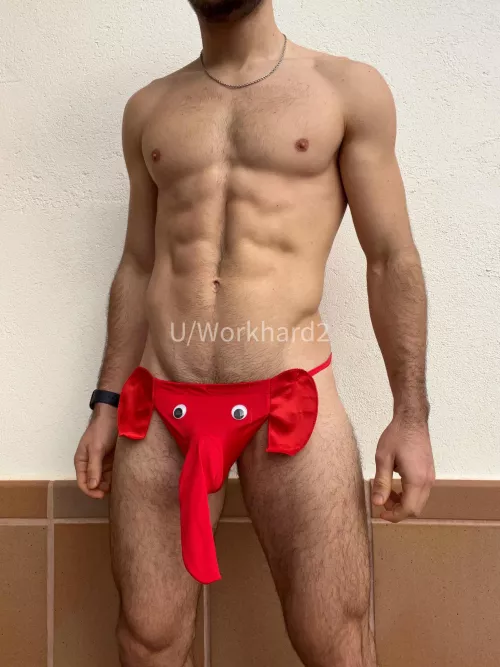 Play with my Elephant! 😅