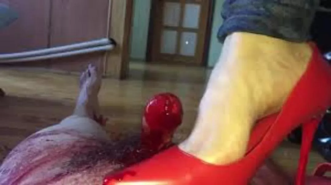 pls someone help me out with this video, where can I get it?