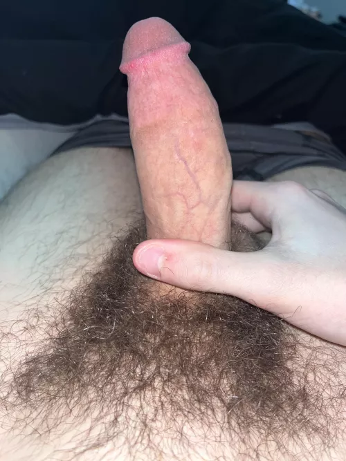 Posting a pic of my cock everyday #2