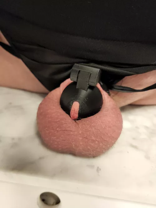 printed cage! remixed from the maker of cherry keeper. just made it for smol girls like me. if you love cages get a nice 3d printer. you can make and remix your own.