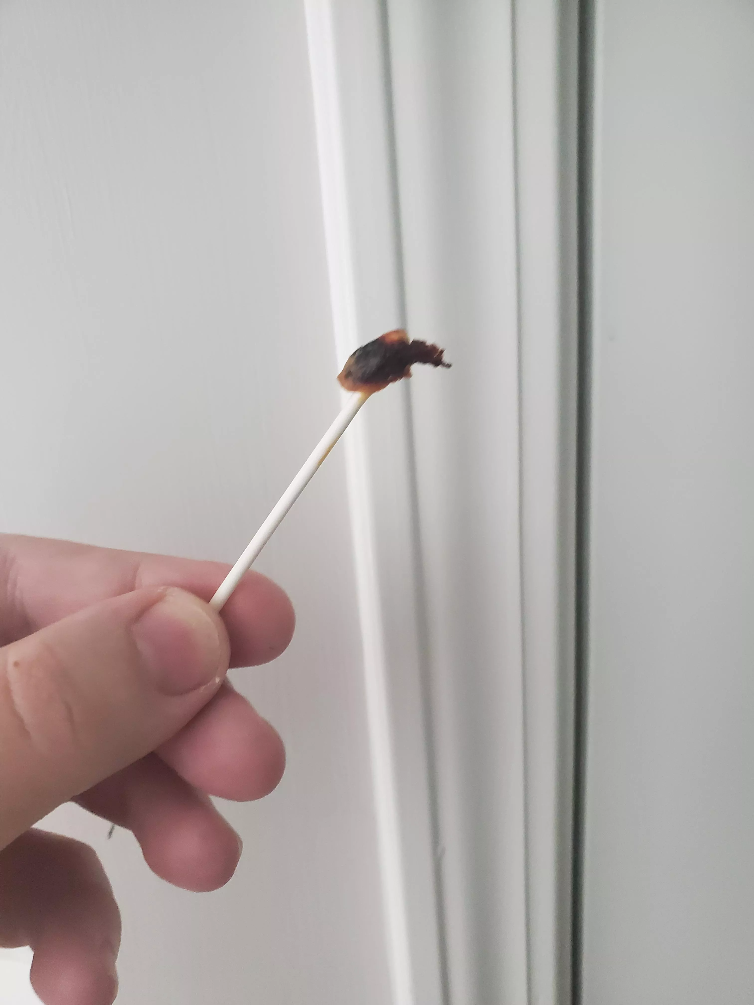 Pulled this out of my ear today... Looks like a lit match.