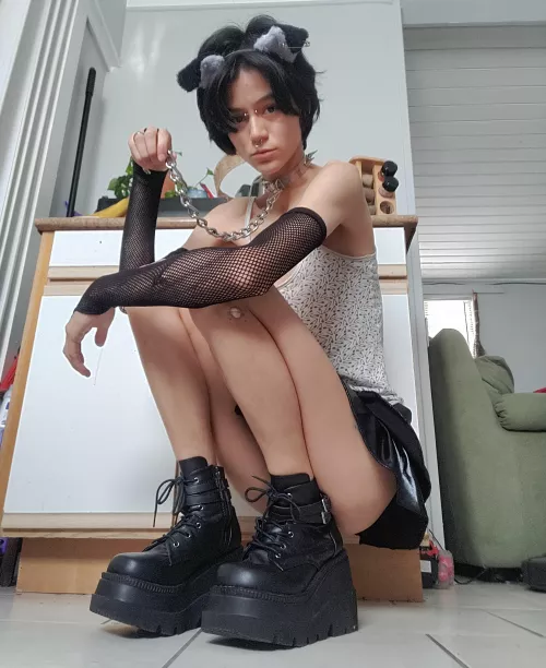 Punk little pup 🐾💕