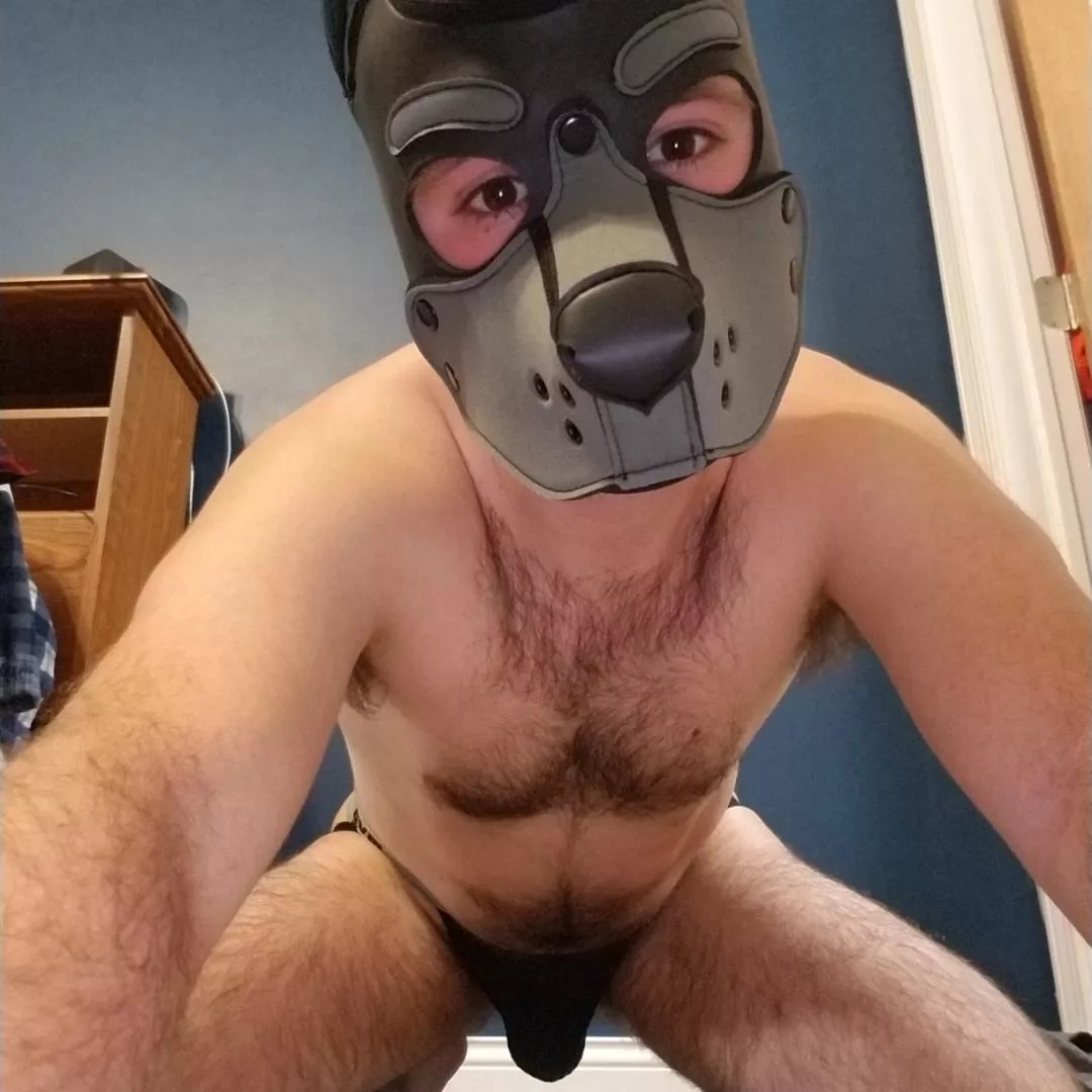 pup just needs an Alpha😈