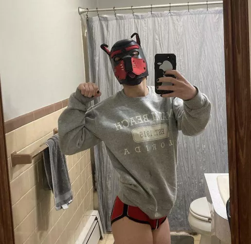 Puppy wants to play but have no one to play with :(