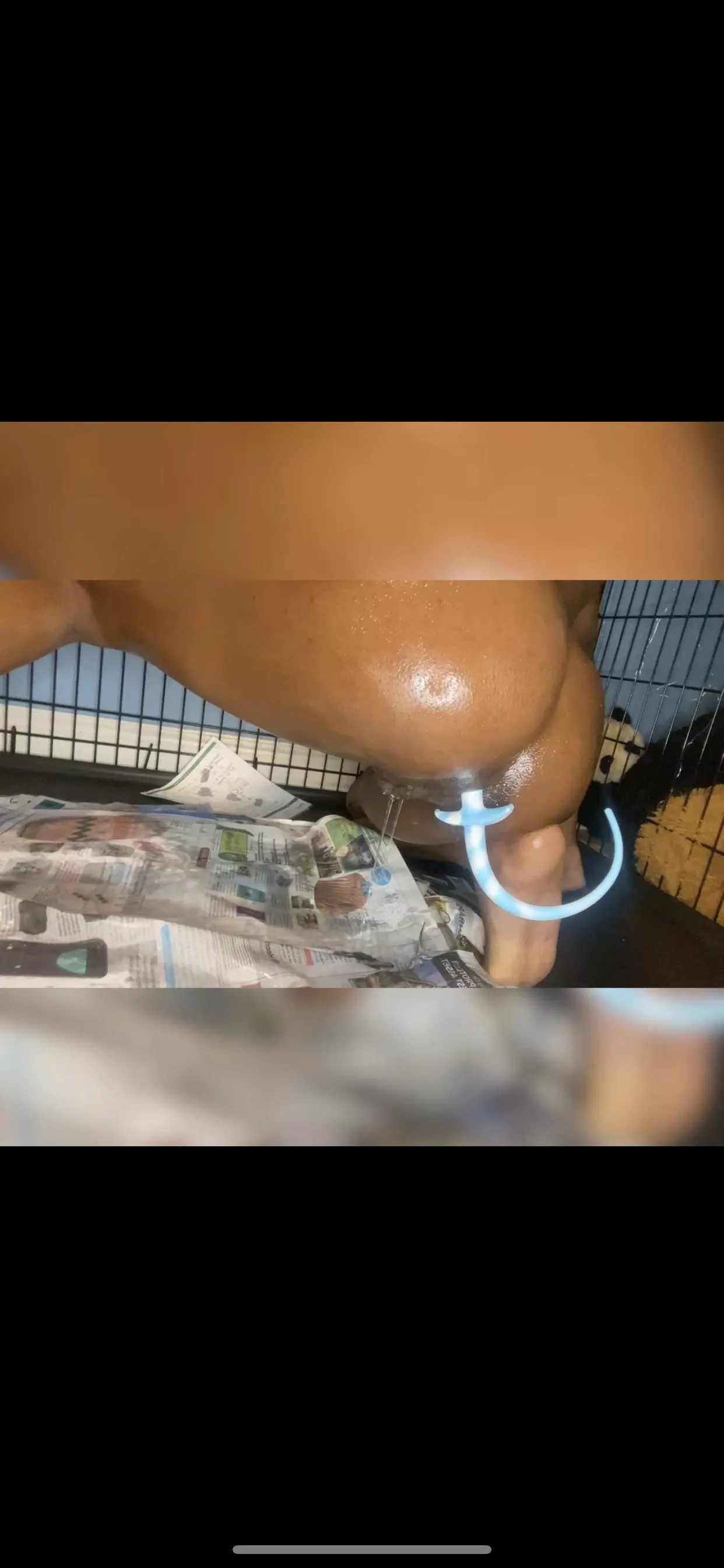 Puppy went potty on the newspaper like a good pup!!!🐾🐶