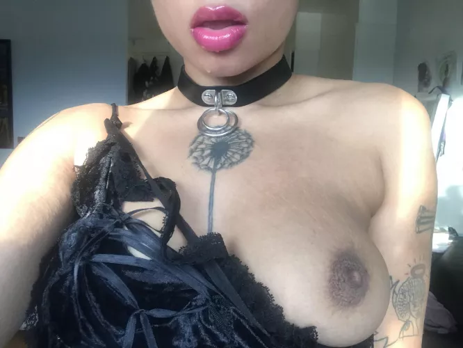 Put on my leash 💕