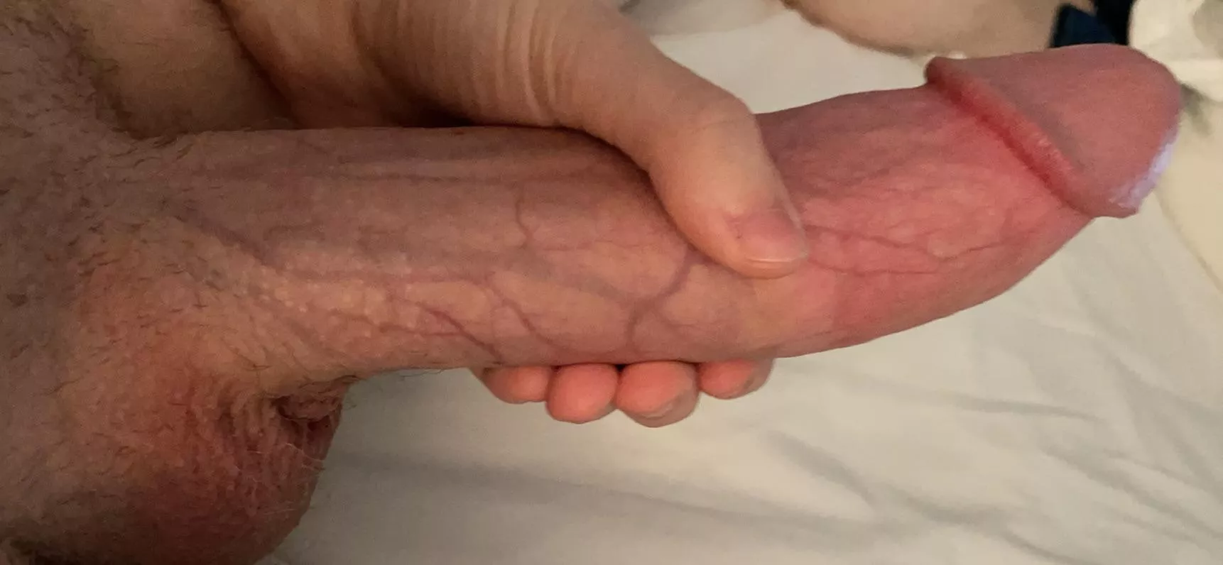 Quick question: will you please suck my cock?