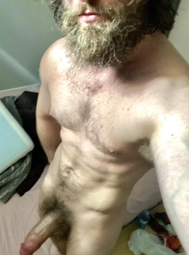 Rate my beard and cock 1-5