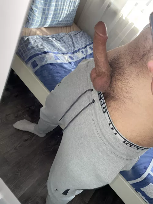 Rate my big Moroccan dick 👇🏽