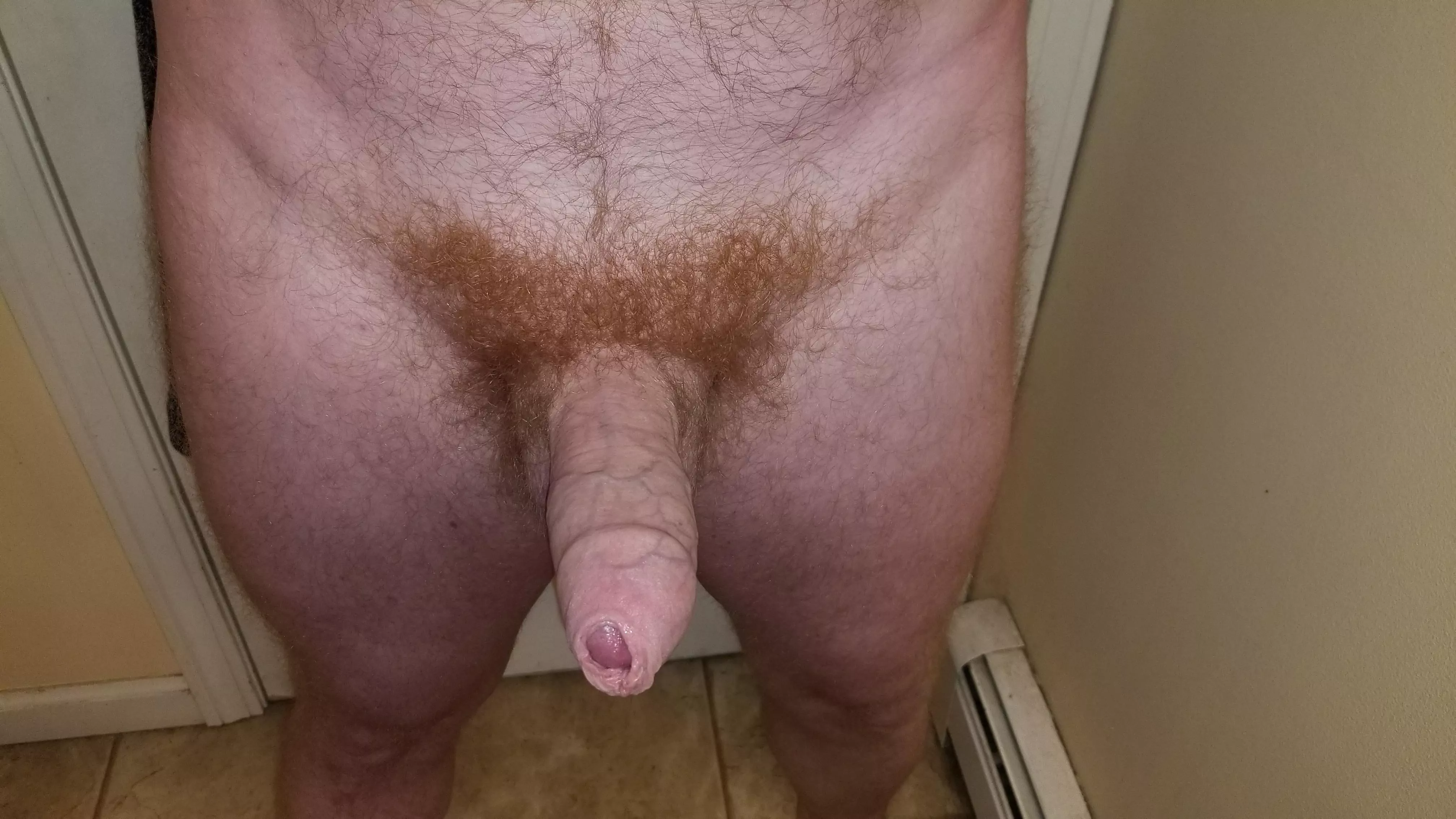ready for someone to get on their knees and suck this ginger cock