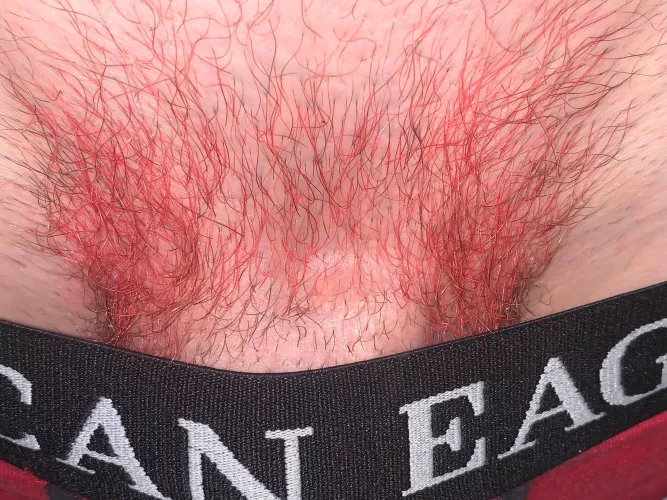 Realized I never posted a photo over a year ago when I dyed them