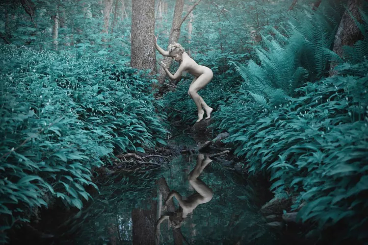 Reflection Of Dreams