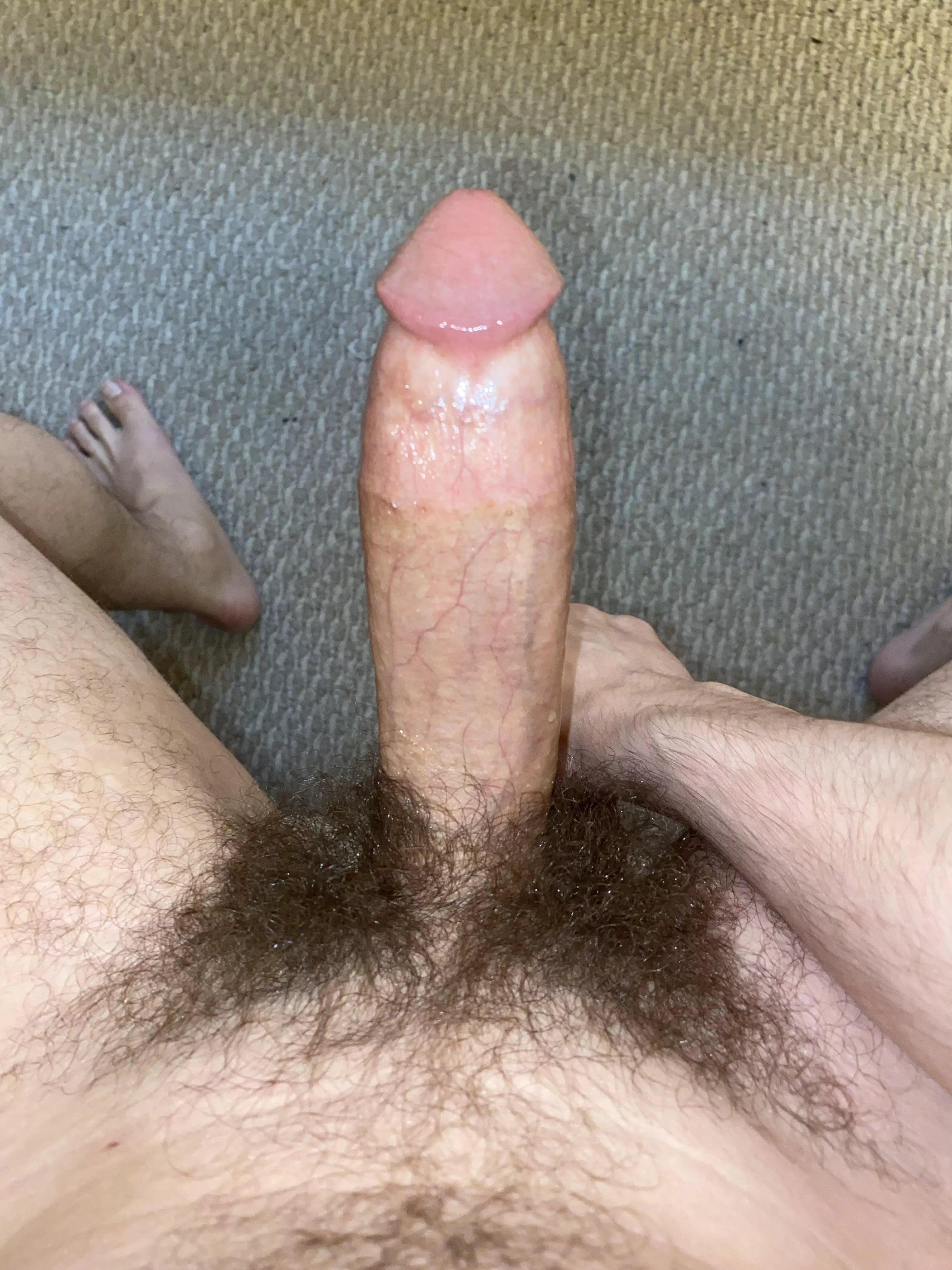 Rock hard manly dick ready to stuff you Rock hard manly dick ready to stuff you