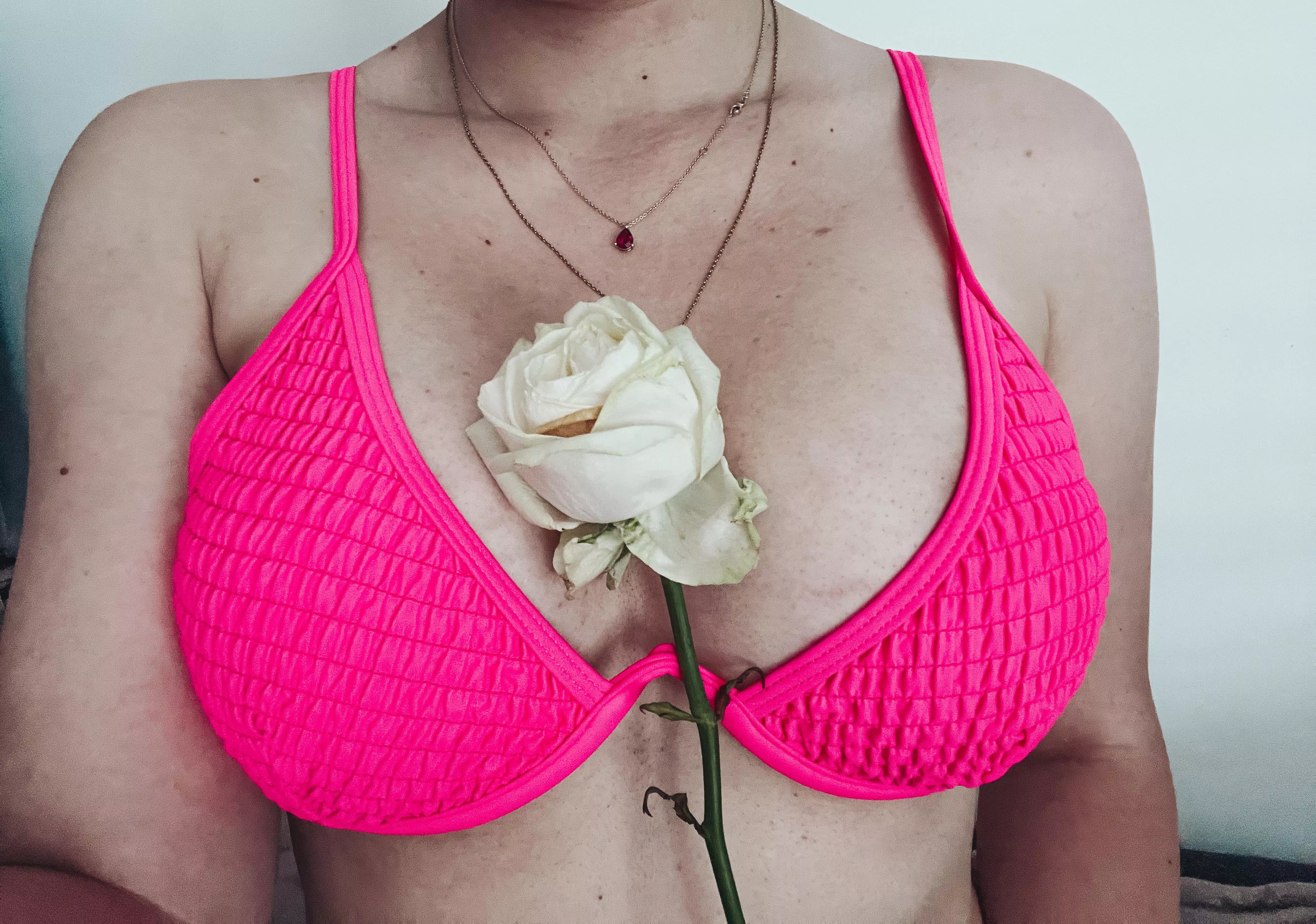 Roses are white 🌹