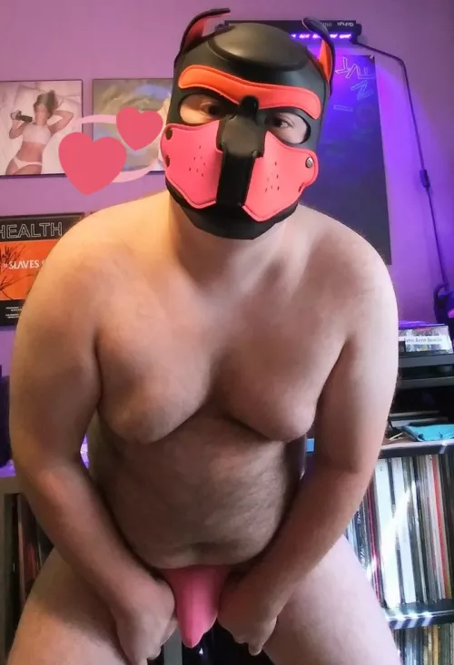 rub my tummy? 🥺👉👈