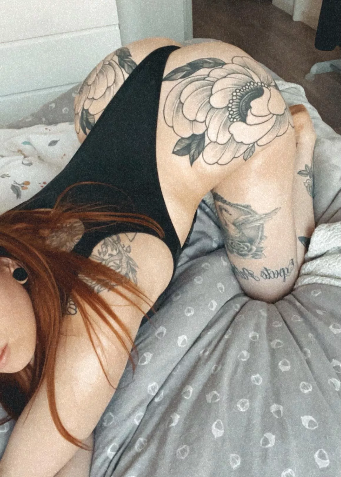 Salut les frenchies ❤️