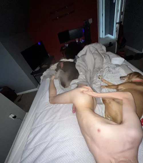 See anything you want? :3