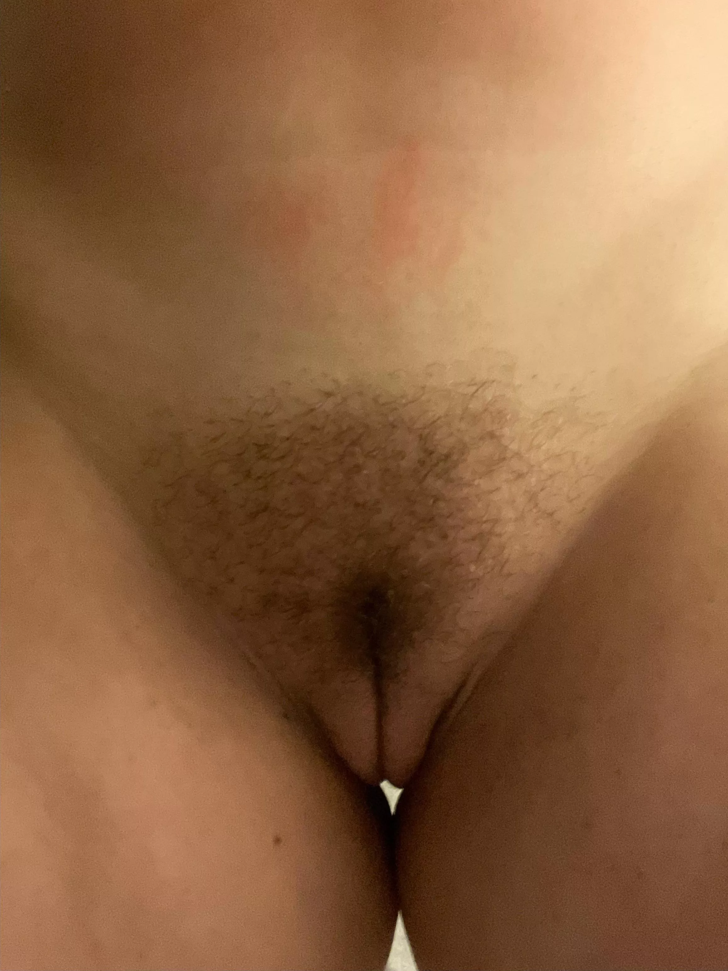 She appeased me with my request for a winter bush, now I’m trying to convince her to keep it around for a bit longer!