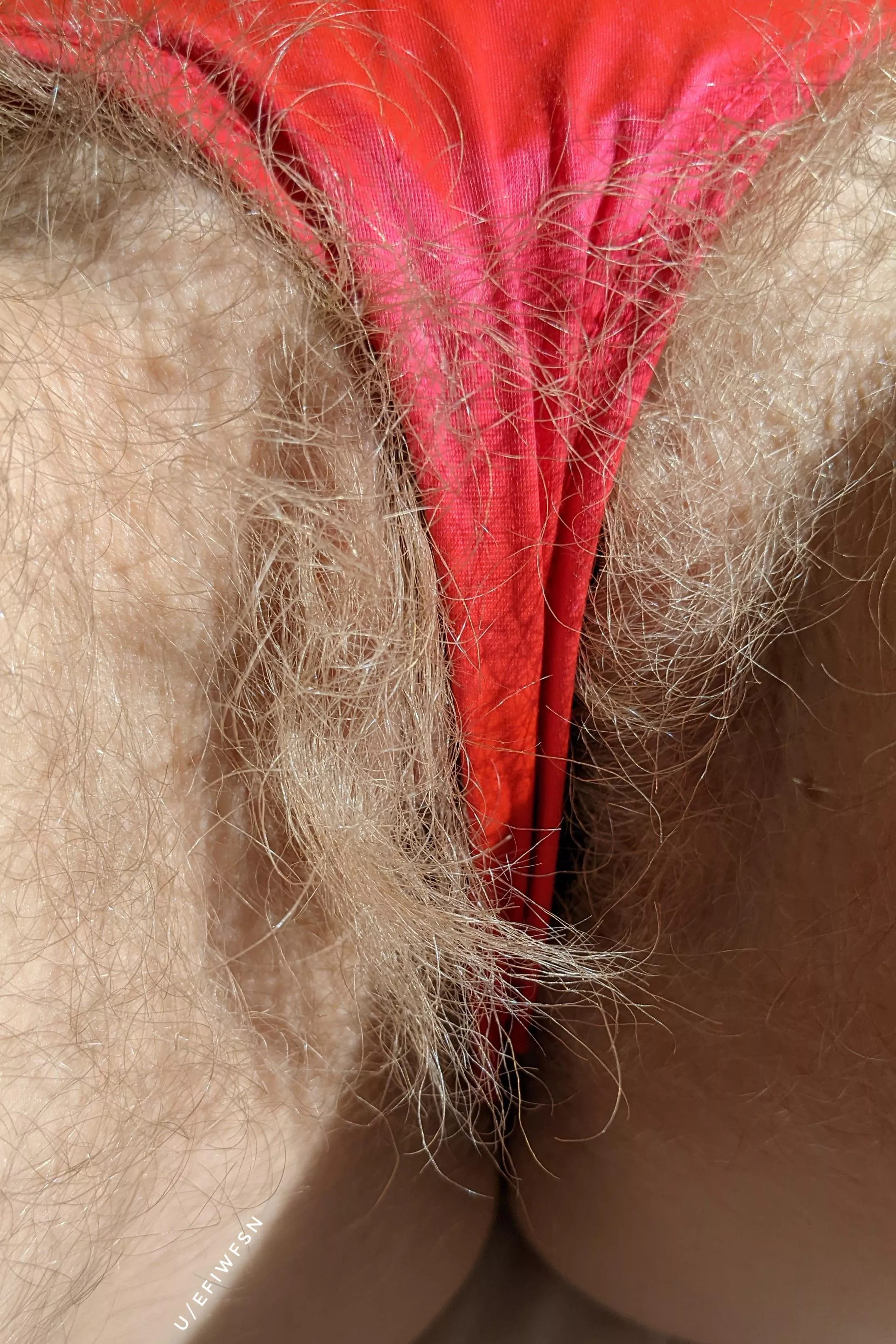 She's almost as soft as the hair on my head