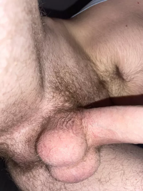 Shot from underneath