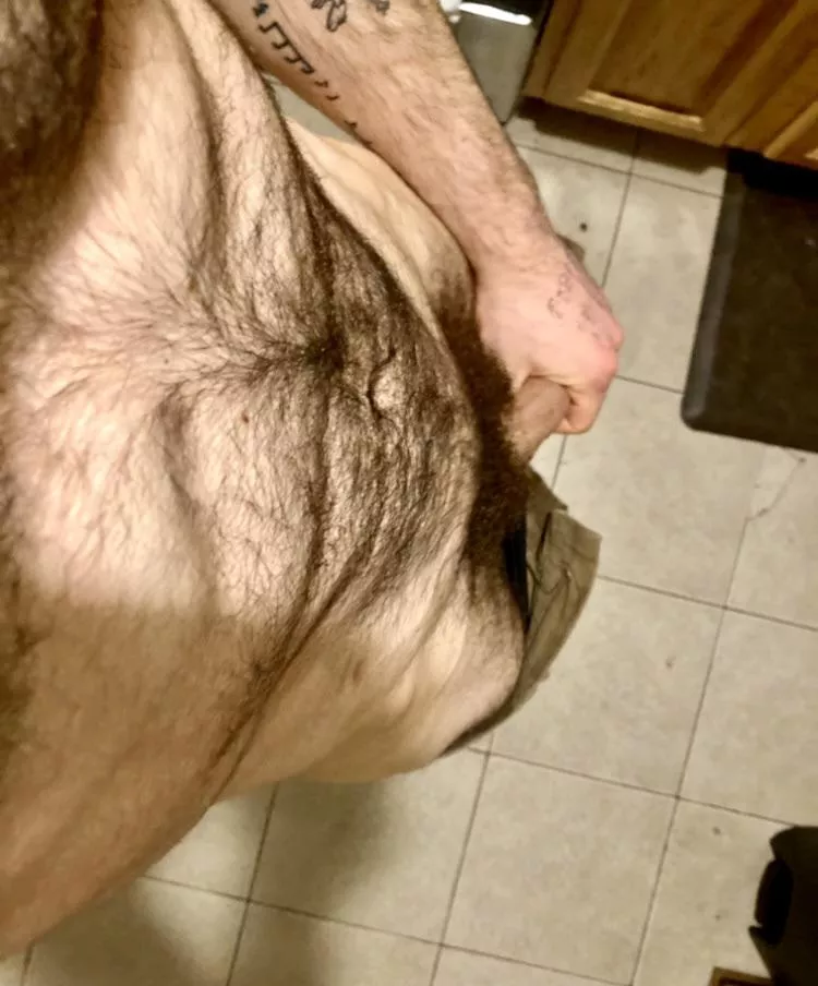 Showing off my plush, new coat of fur. A level I’ve never let it grow to before