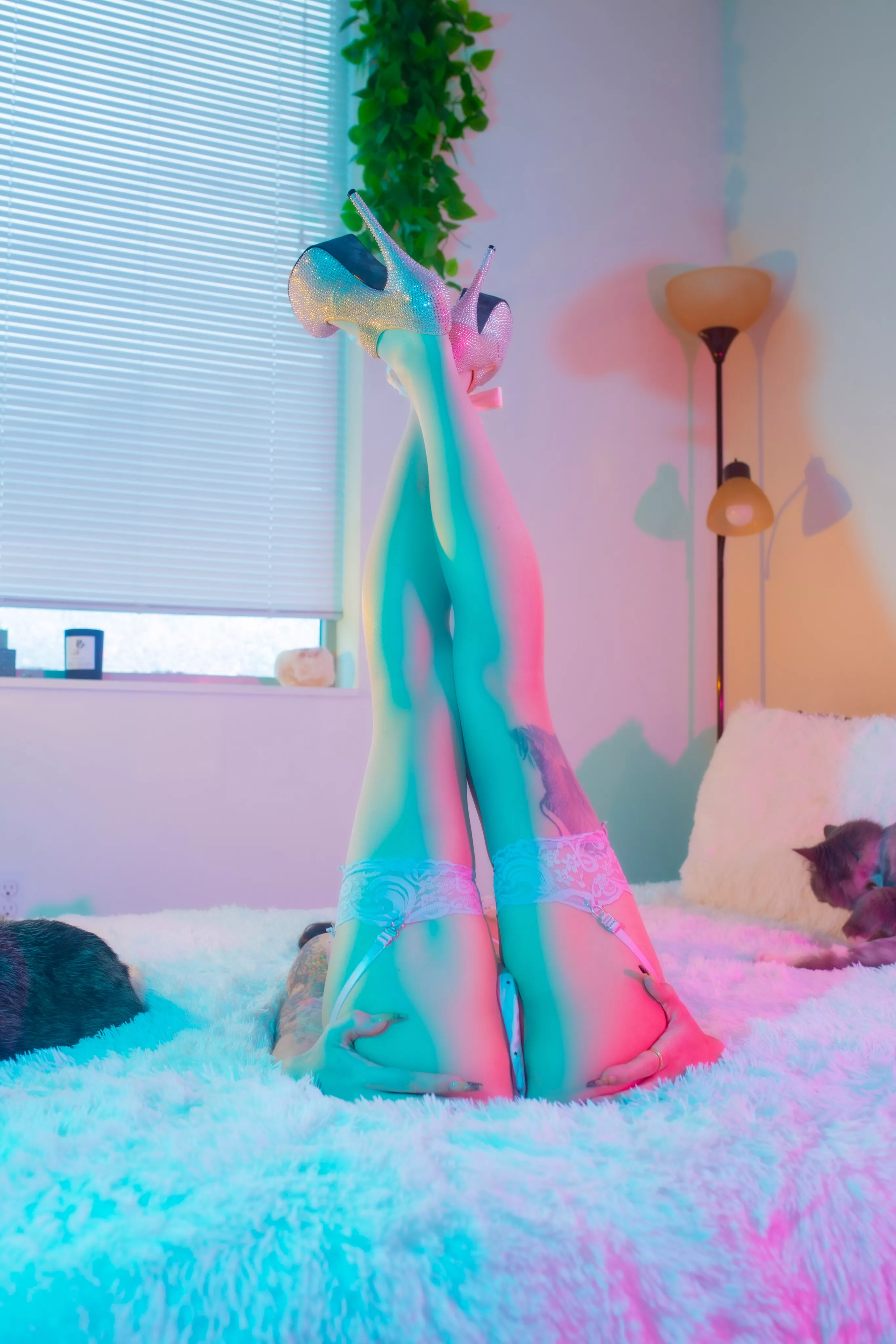 Since everyone was so nice yesterday, I decided to give ya the other angle ;) What do you think? I can hold this position too! 😂😘