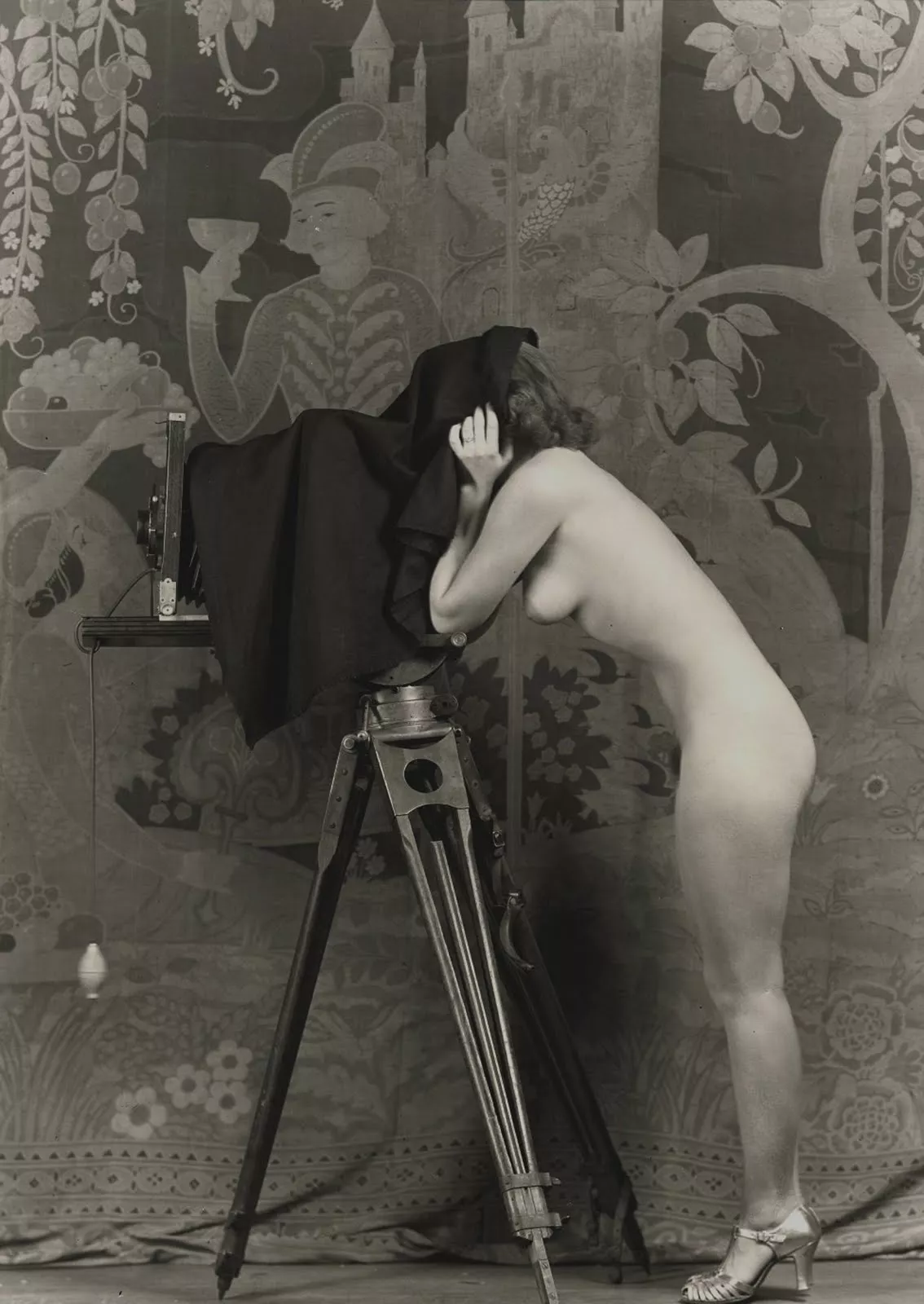 Sir, it is a great delight to have a maid who is interested in my photographic hobby. She is always most keen to earn an extra shilling.