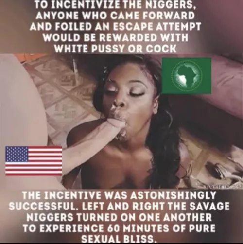 Slave monkey š
