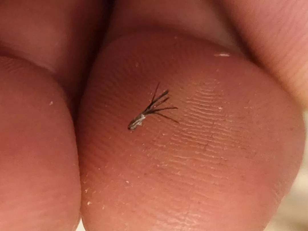 Small pop of the neck was hiding the ultra super mega hair