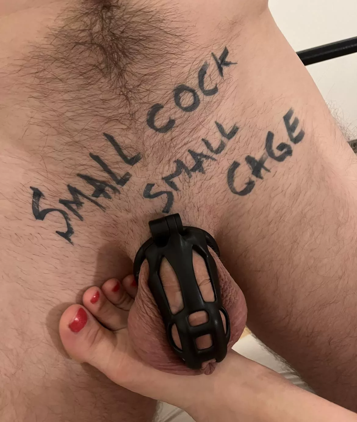 Smaller cage fits him better :)