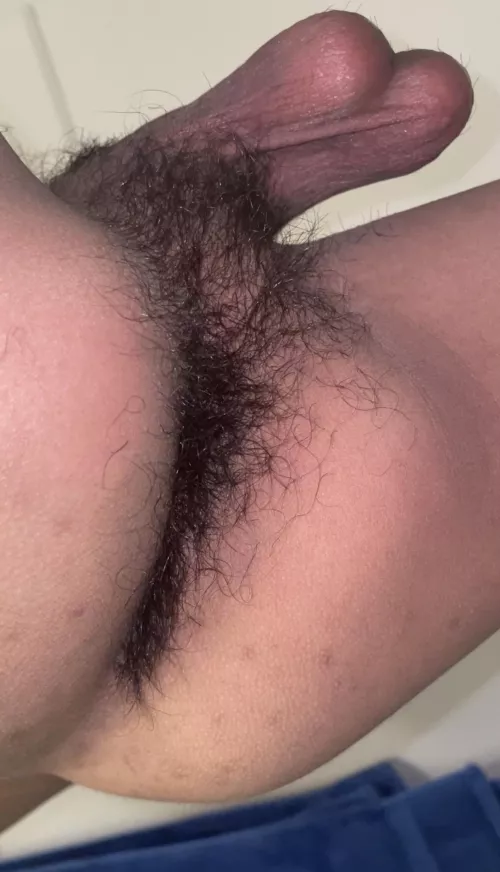 Smooth cheeks, hairy hole