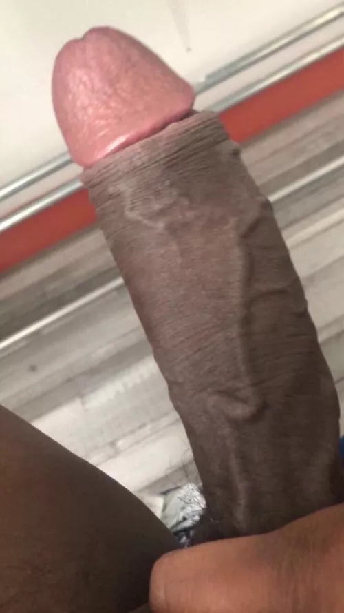 Snap: advkross add me to have some fun (passable sissies and transgirls only)