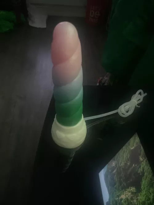 So excited and nervous!!!! Just received my M/M mystic in the mail and it’s to much bigger that I anticipated…. I have a small Rex and this seems like a big jump… any pointers?