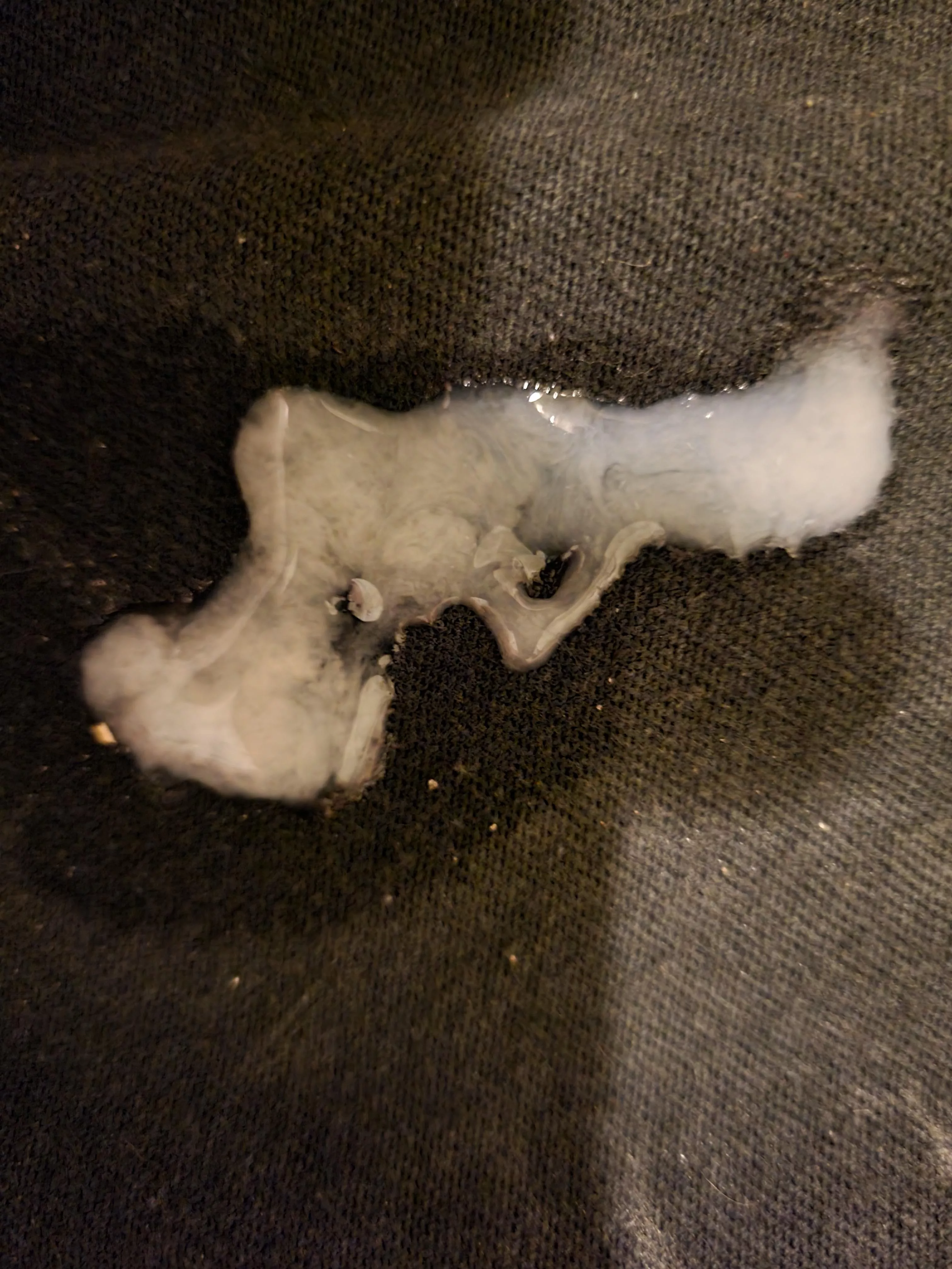 So I just got done and it looks like a gun!? Sorry if pictures are not allowed. So I just got done and it looks like a gun!? Sorry if pictures are not allowed.