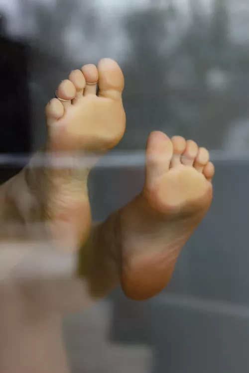 Soles on a window!