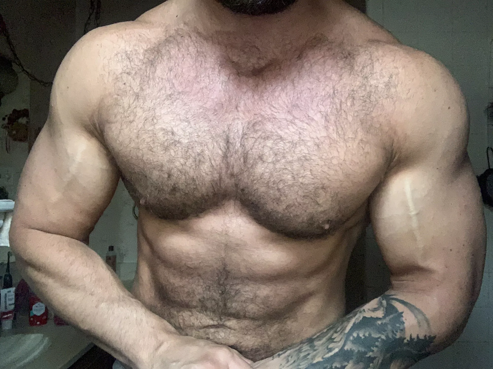 Some brachioradialis definition