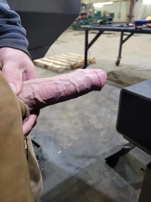 some work fun (m)