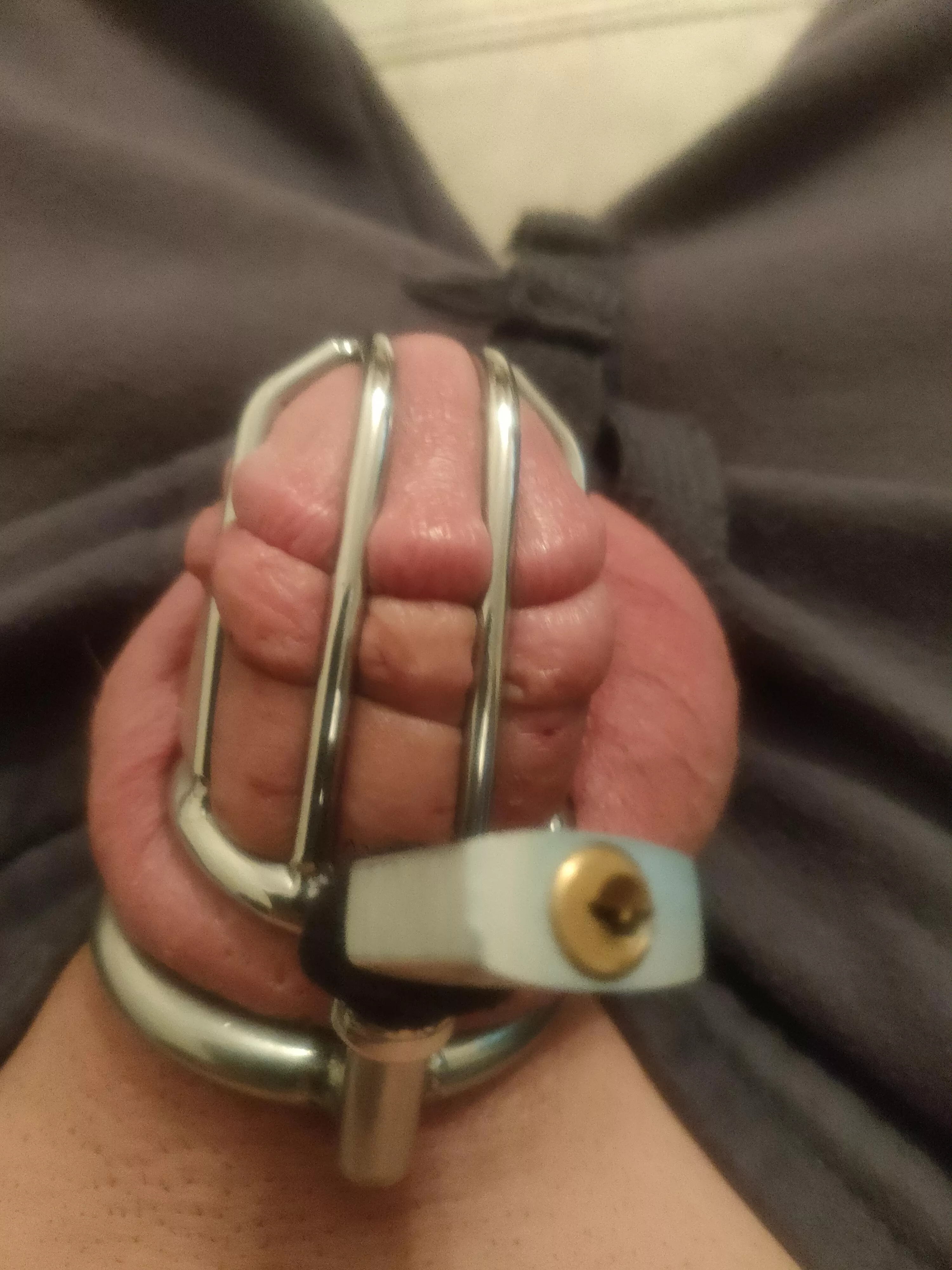 someone said my cage is to big my wife thinks it's perfect, what do you guys think? someone said my cage is to big my wife thinks it's perfect, what do you guys think?