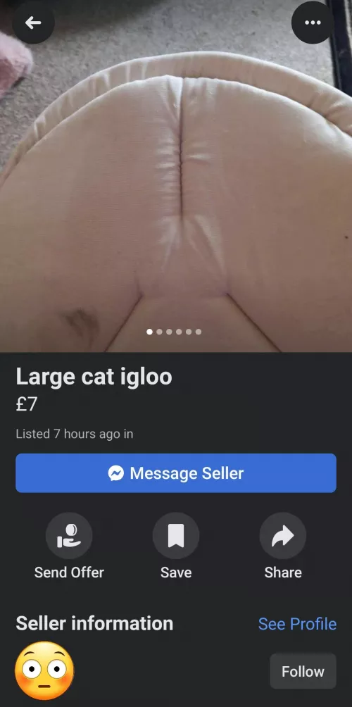 something warm to get into