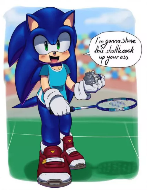 Sonic At Olympic Games( credits to Cowykowsi)
