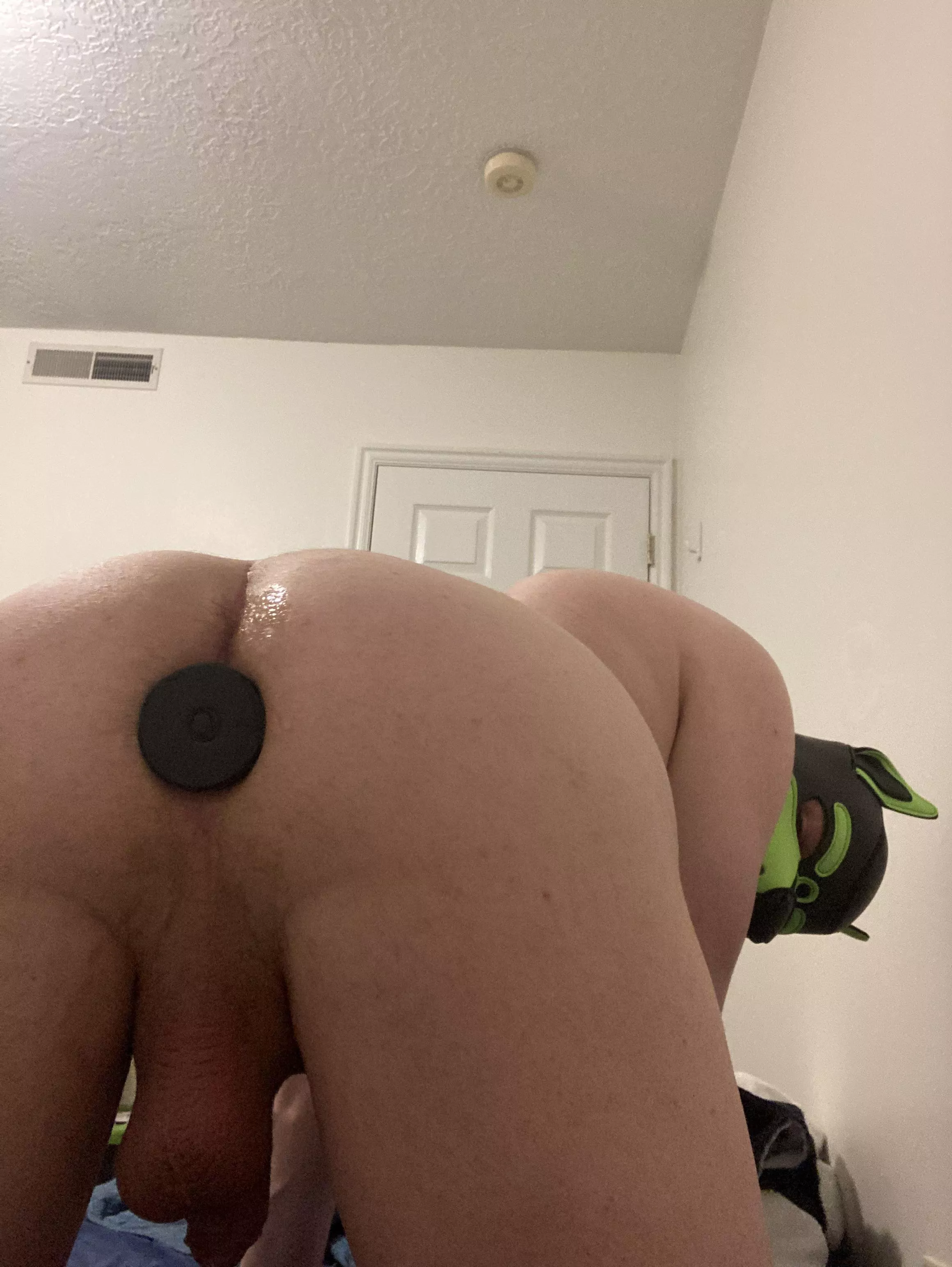 Soooooo horny 🐶🥵 Doggo needs someone to come replace the plug