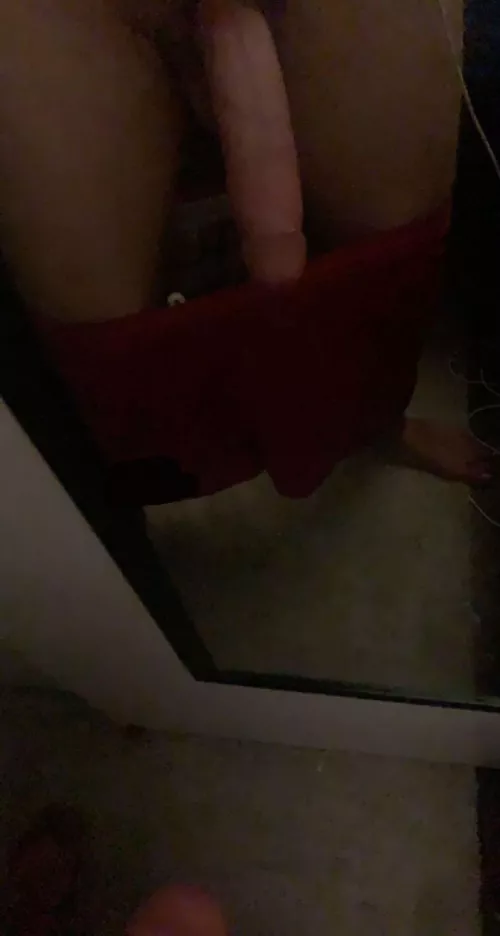 Suck my long dick NSA