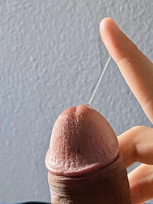 sweet precum