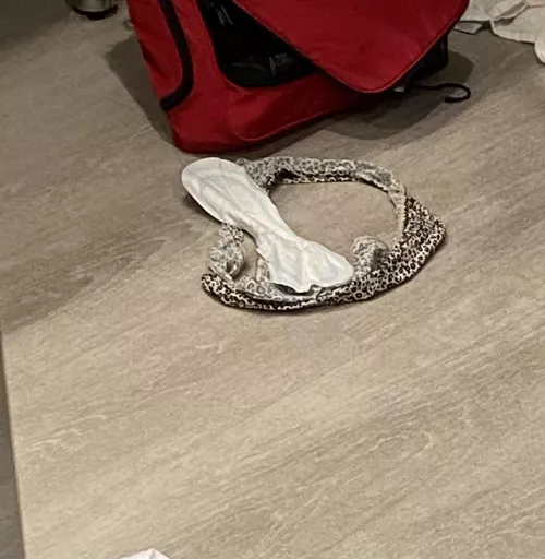 Swim Team Picks Up Her Slobbish Habits Naturally. This is a Very Normal Panty/Pad Scene For Swim and The Other Panty Wearer in the House.